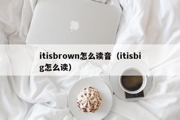 itisbrown怎么读音（itisbig怎么读）