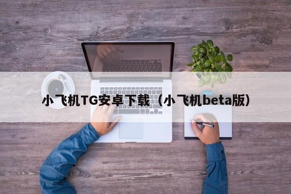 小飞机TG安卓下载（小飞机beta版）