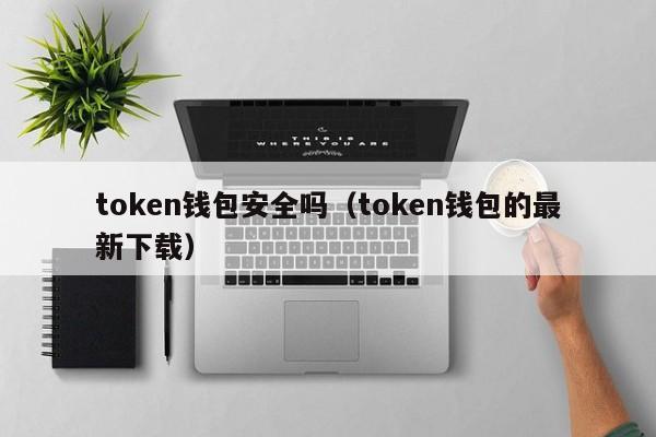 token钱包安全吗（token钱包的最新下载）