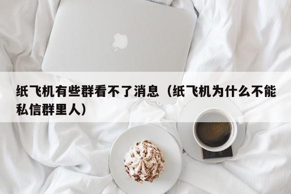 纸飞机有些群看不了消息（纸飞机为什么不能私信群里人）