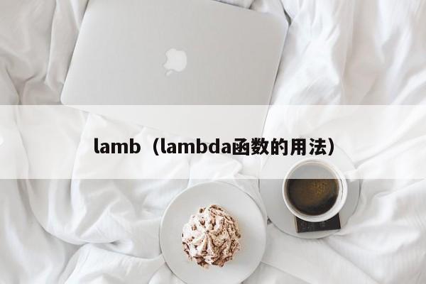 lamb（lambda函数的用法）