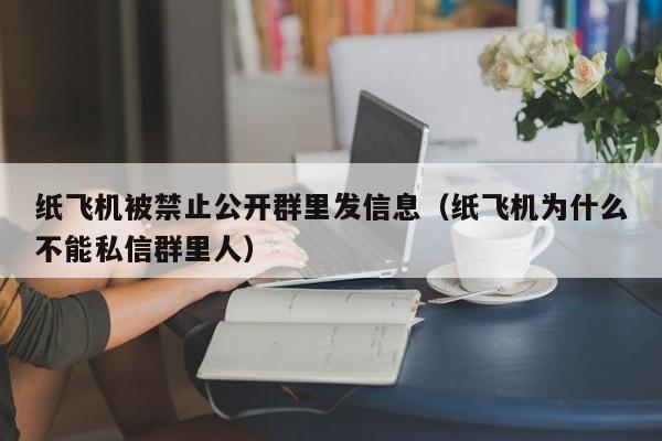 纸飞机被禁止公开群里发信息（纸飞机为什么不能私信群里人）