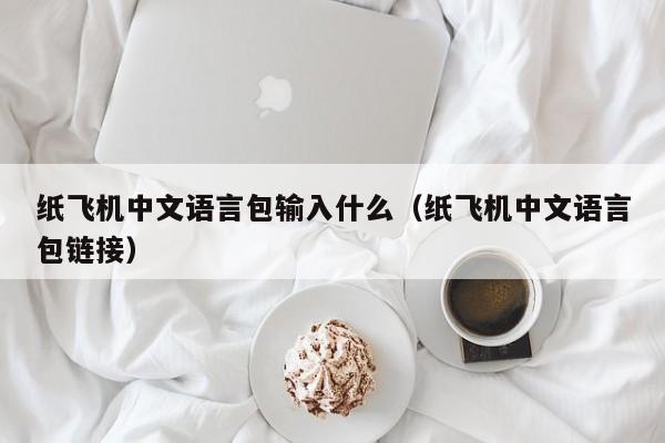 纸飞机中文语言包输入什么（纸飞机中文语言包链接）