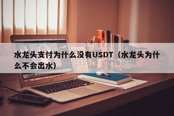 水龙头支付为什么没有USDT（水龙头为什么不会出水）