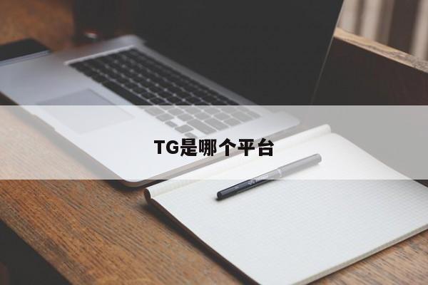 TG是哪个平台