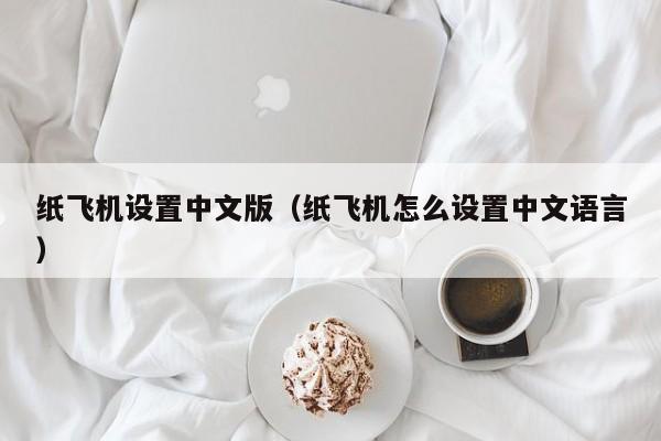 纸飞机设置中文版（纸飞机怎么设置中文语言）