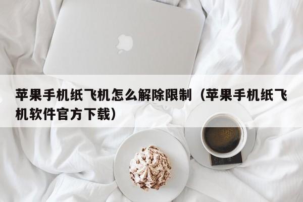 苹果手机纸飞机怎么解除限制（苹果手机纸飞机软件官方下载）