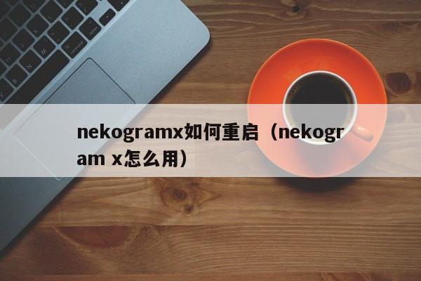 nekogramx如何重启（nekogram x怎么用）