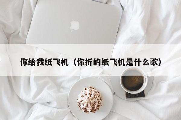 你给我纸飞机（你折的纸飞机是什么歌）