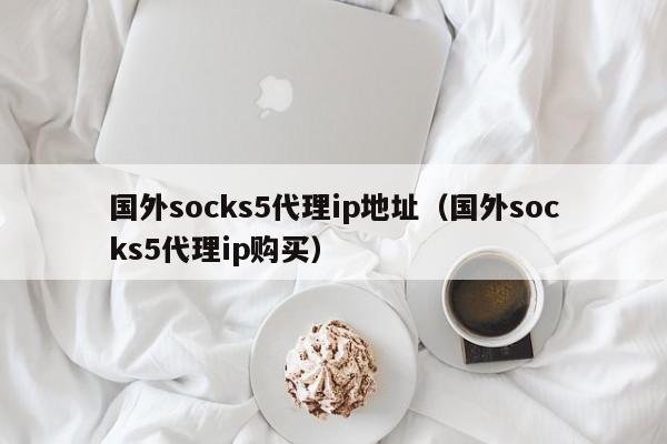 国外socks5代理ip地址（国外socks5代理ip购买）