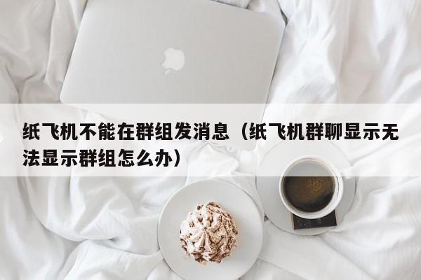 纸飞机不能在群组发消息（纸飞机群聊显示无法显示群组怎么办）