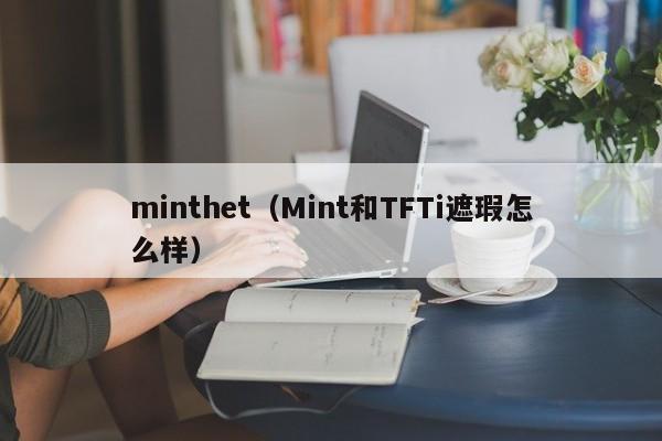 minthet（Mint和TFTi遮瑕怎么样）