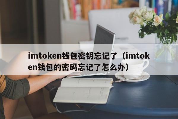 imtoken钱包密钥忘记了（imtoken钱包的密码忘记了怎么办）