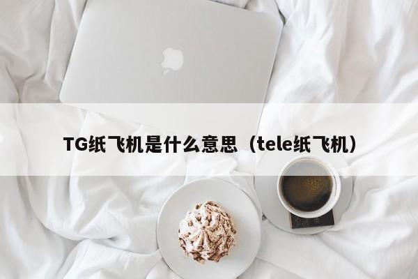 TG纸飞机是什么意思（tele纸飞机）