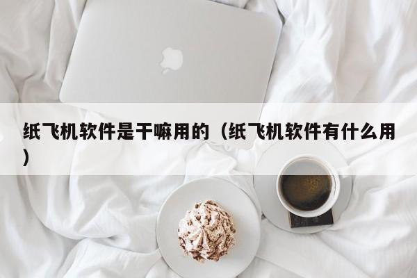 纸飞机软件是干嘛用的（纸飞机软件有什么用）