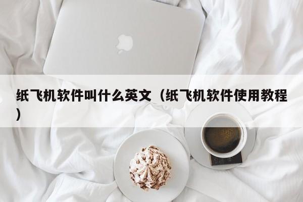 纸飞机软件叫什么英文（纸飞机软件使用教程）