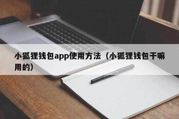 小狐狸钱包app使用方法（小狐狸钱包干嘛用的）