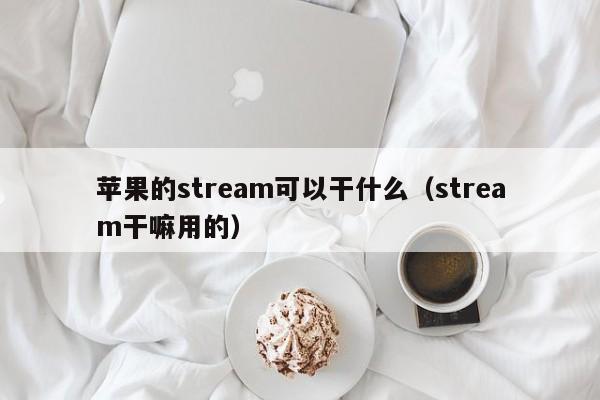 苹果的stream可以干什么（stream干嘛用的）