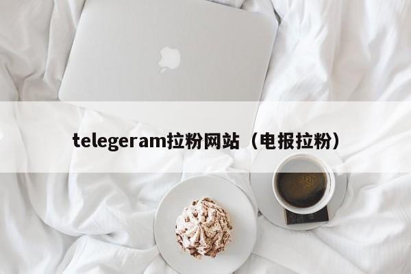 telegeram拉粉网站（电报拉粉）