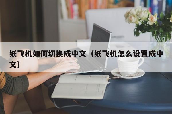 纸飞机如何切换成中文（纸飞机怎么设置成中文）