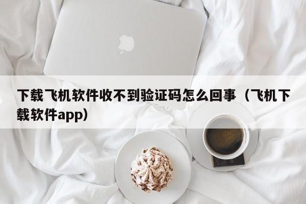 下载飞机软件收不到验证码怎么回事（飞机下载软件app）